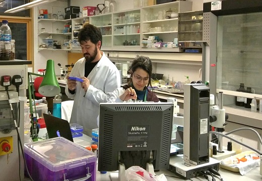 Notícia 2 pv mulher – 4 de abril