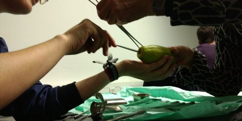 _114205360_papayaworkshop-04b