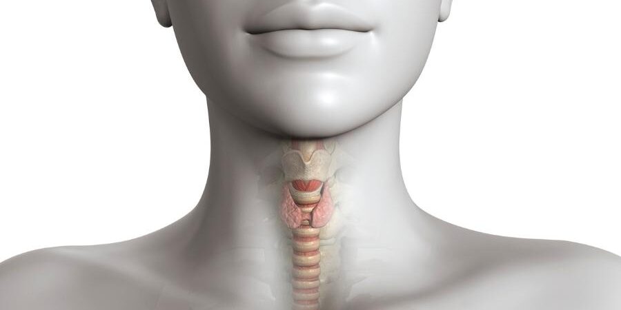 tireoide-1528750348529_v2_900x506