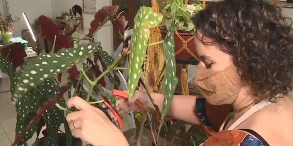 mulheres-empreendedoras