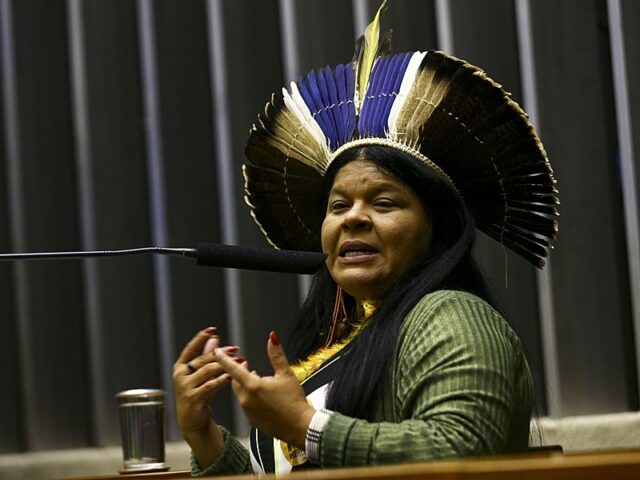 image_processing20230824-26017-8kol5o