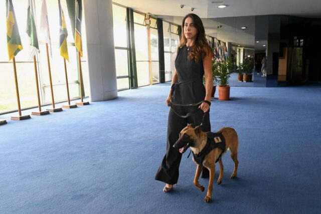 f17116ff-39bc-42a1-b2ee-be5ce9c80d3f