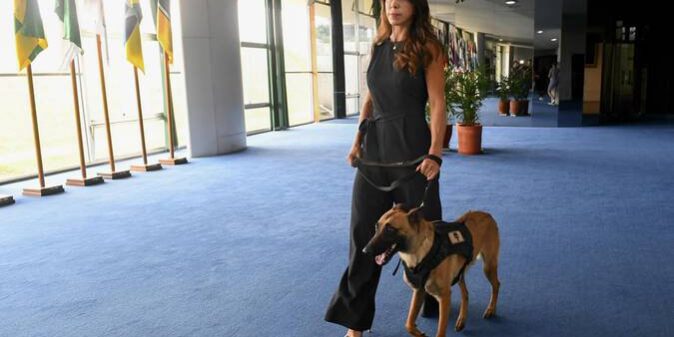 f17116ff-39bc-42a1-b2ee-be5ce9c80d3f