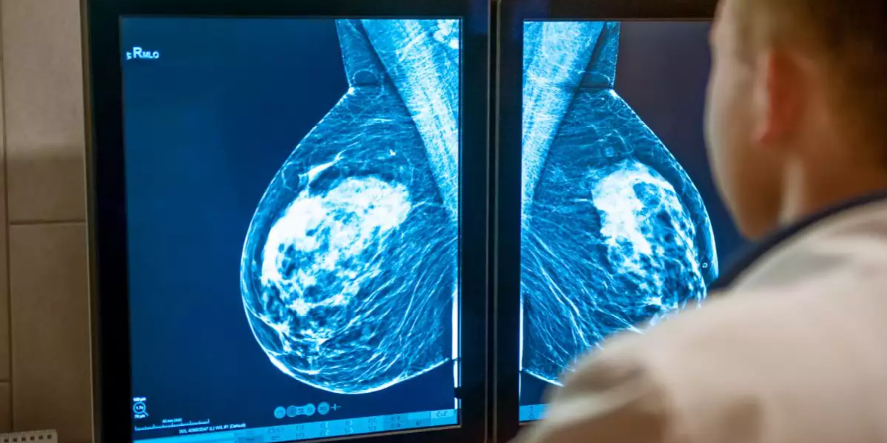 Banco de Imagens – Morsch Telemedicina