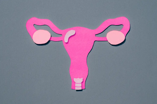 (Maryna Terletska/Getty Images)