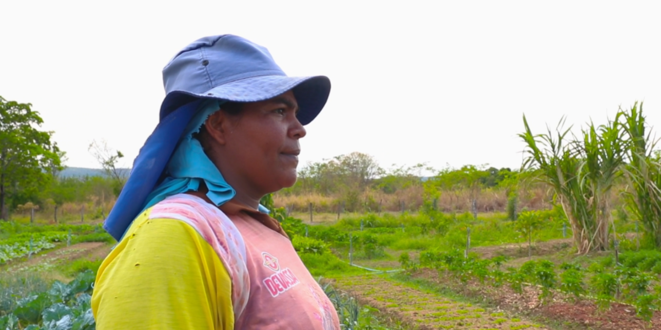 Reprodução Foto: Guilherme Soares/ Canal Rural BA