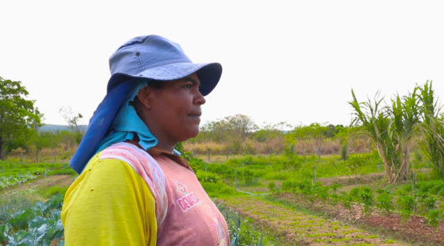 Reprodução Foto: Guilherme Soares/ Canal Rural BA