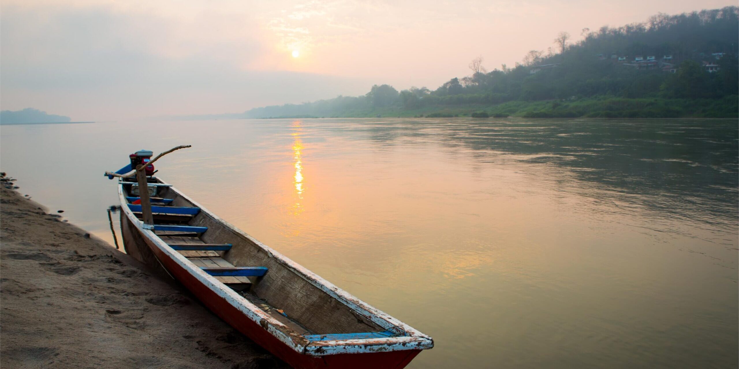 Freepik | Reprodução