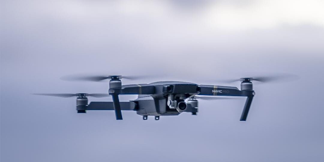 Freepik | Reprodução