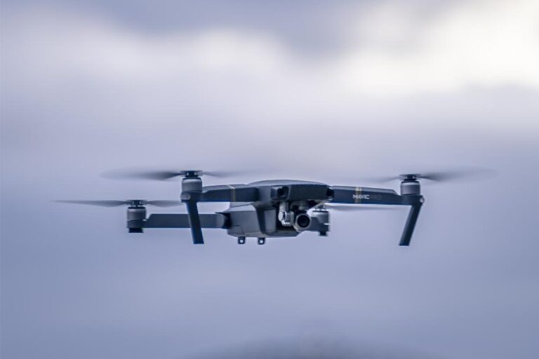 Freepik | Reprodução