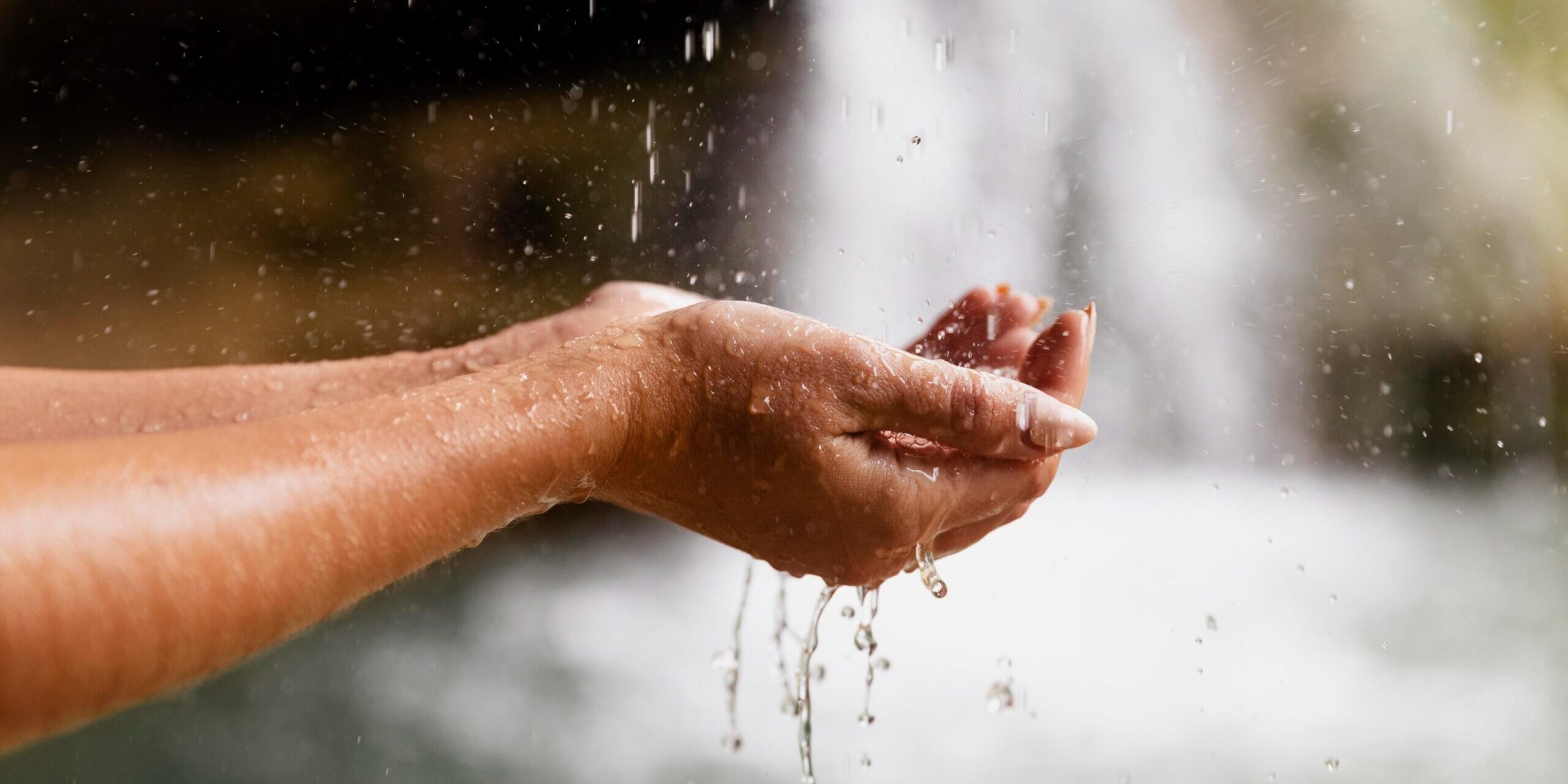 Freepik | Reprodução