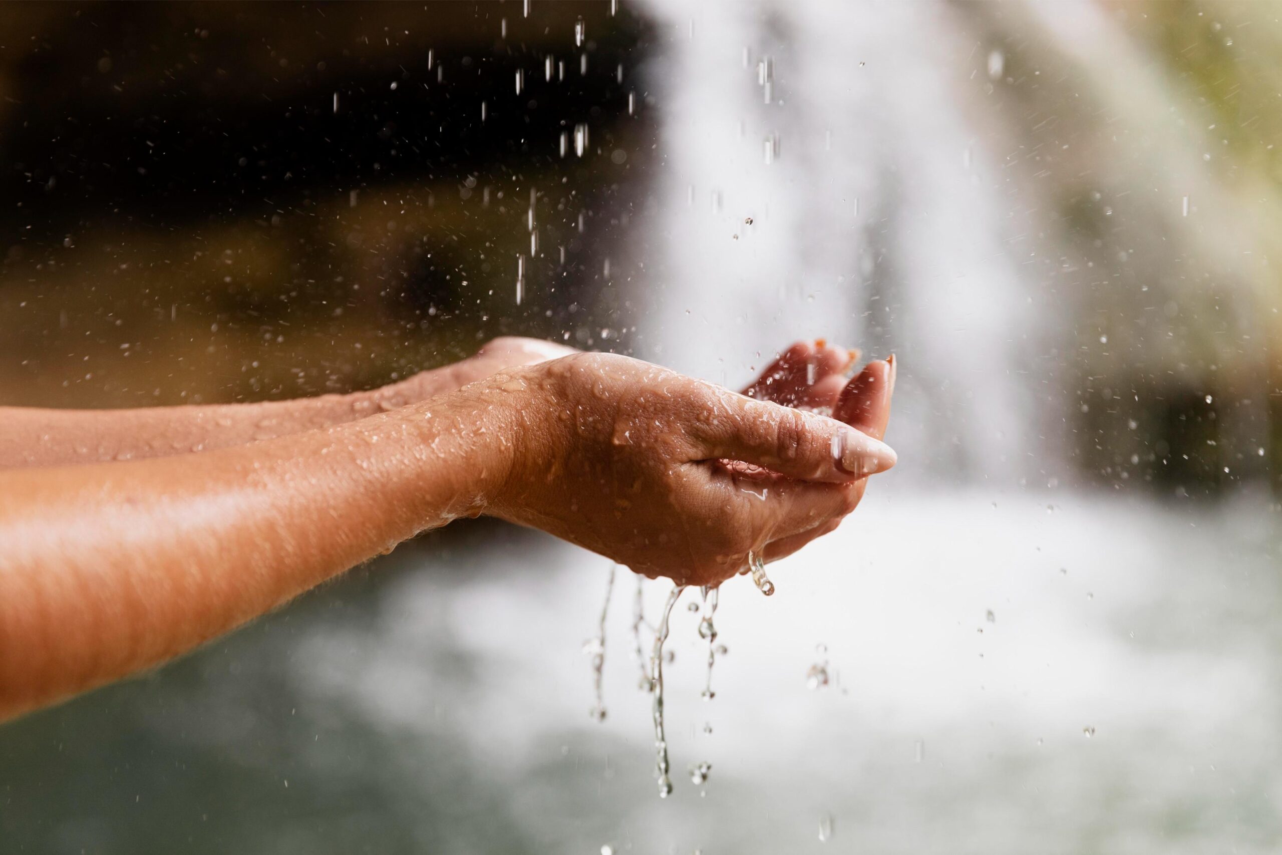 Freepik | Reprodução