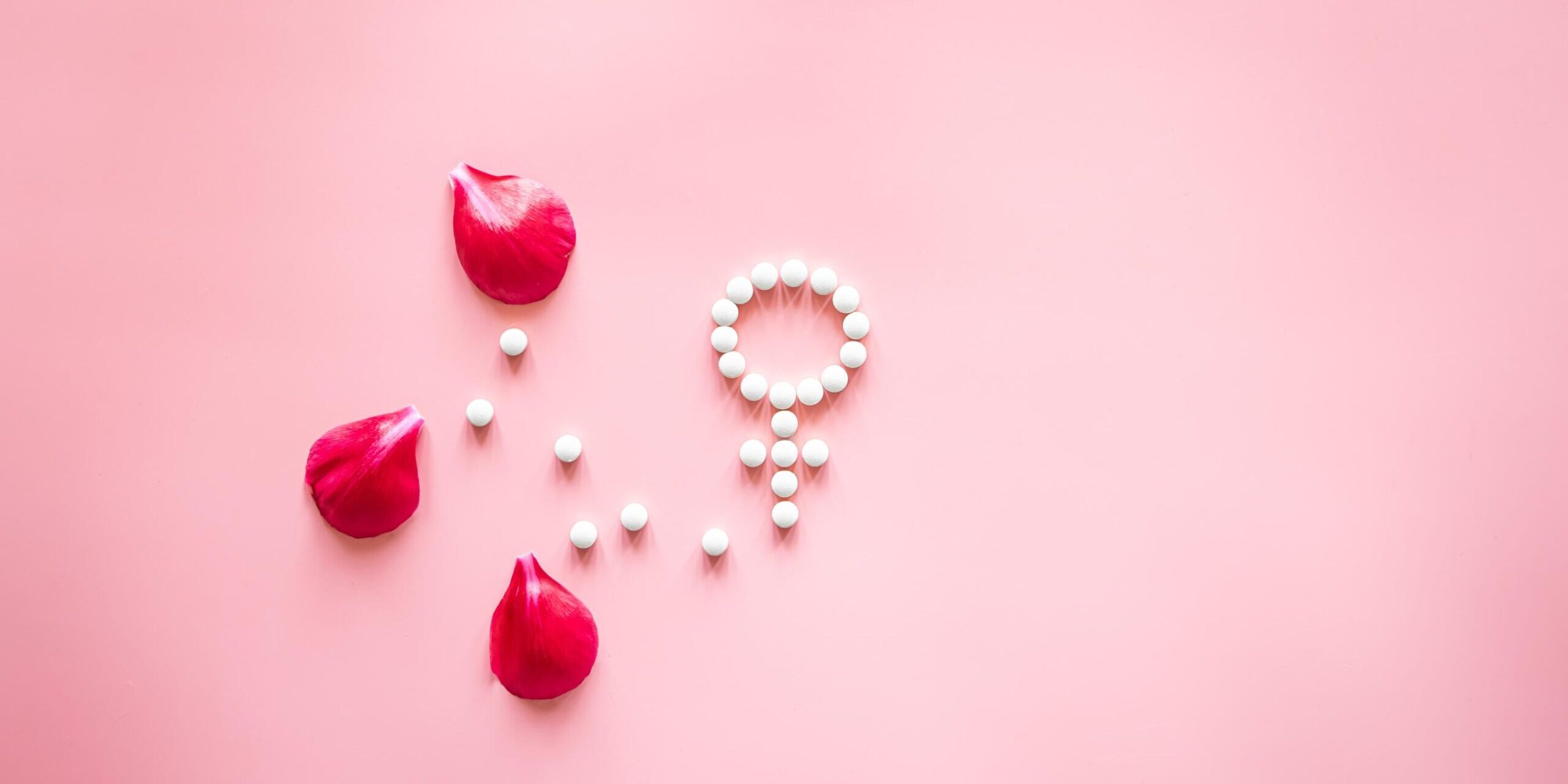 Freepik | Reprodução