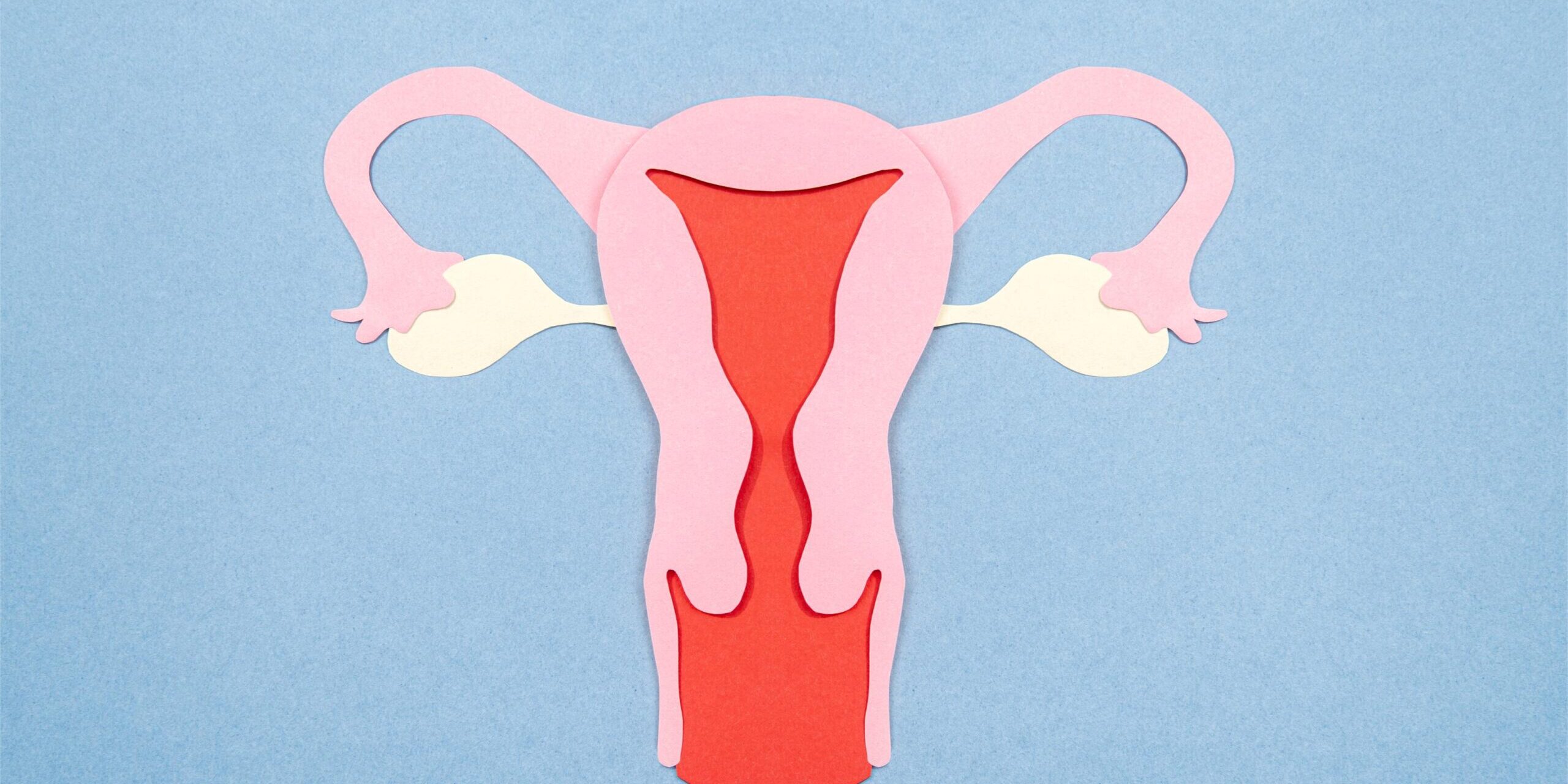 Freepik | Reprodução Freepik | Reprodução