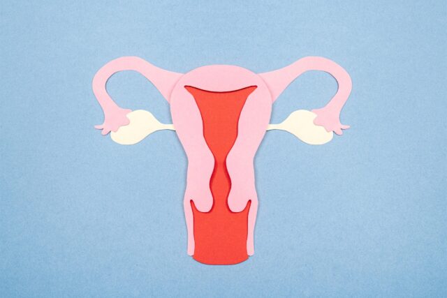 Freepik | Reprodução