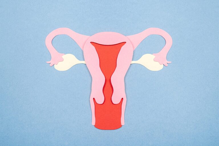 Freepik | Reprodução