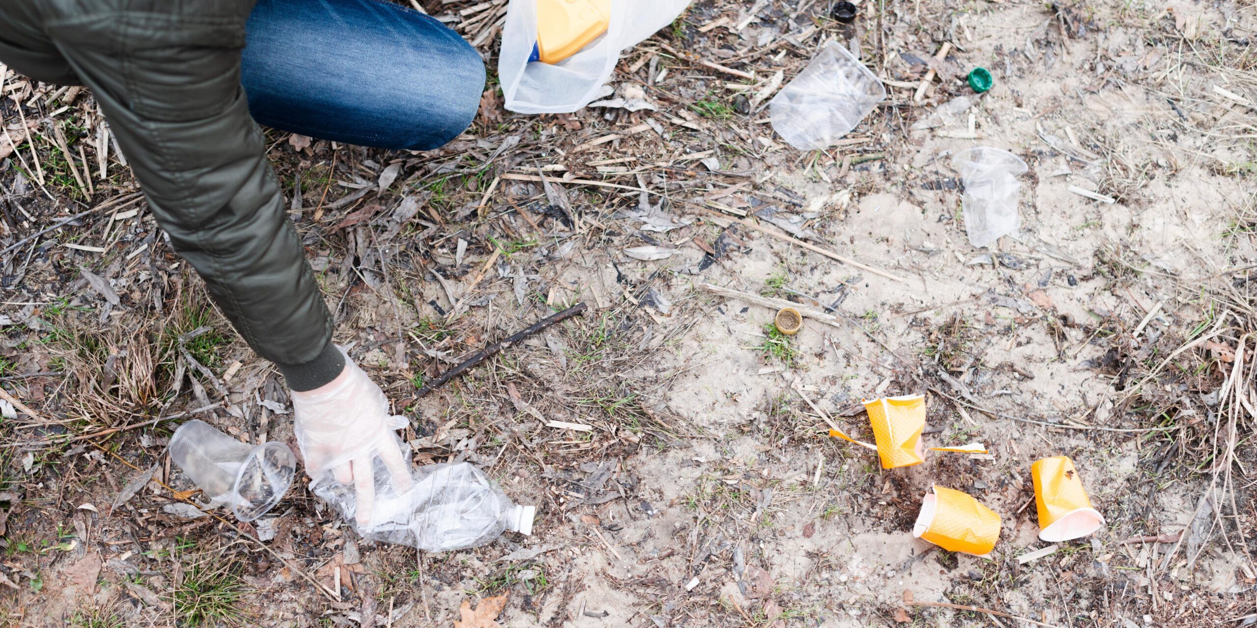 Freepik | Reprodução