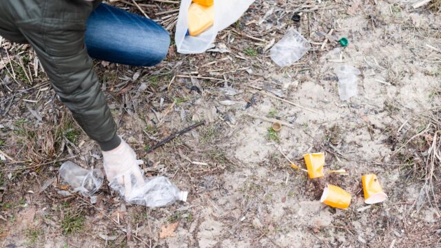 Freepik | Reprodução