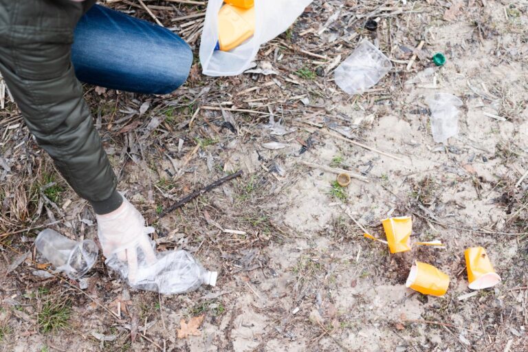 Freepik | Reprodução