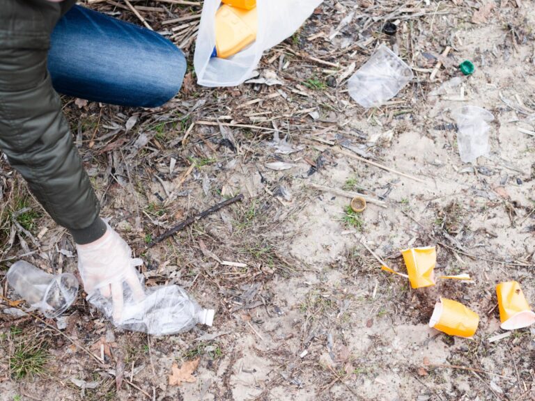 Freepik | Reprodução