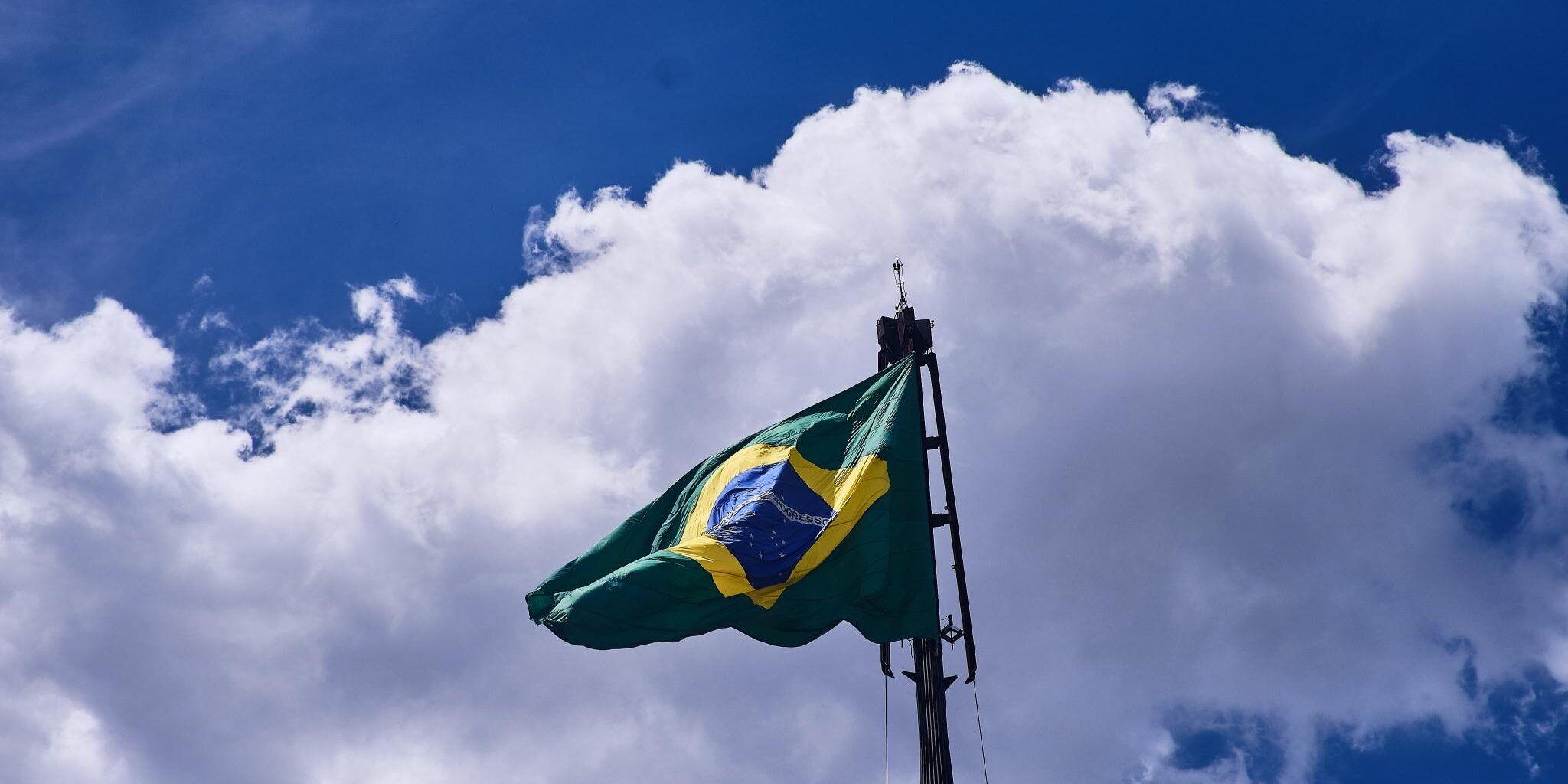 Freepik | Reprodução Freepik | Reprodução