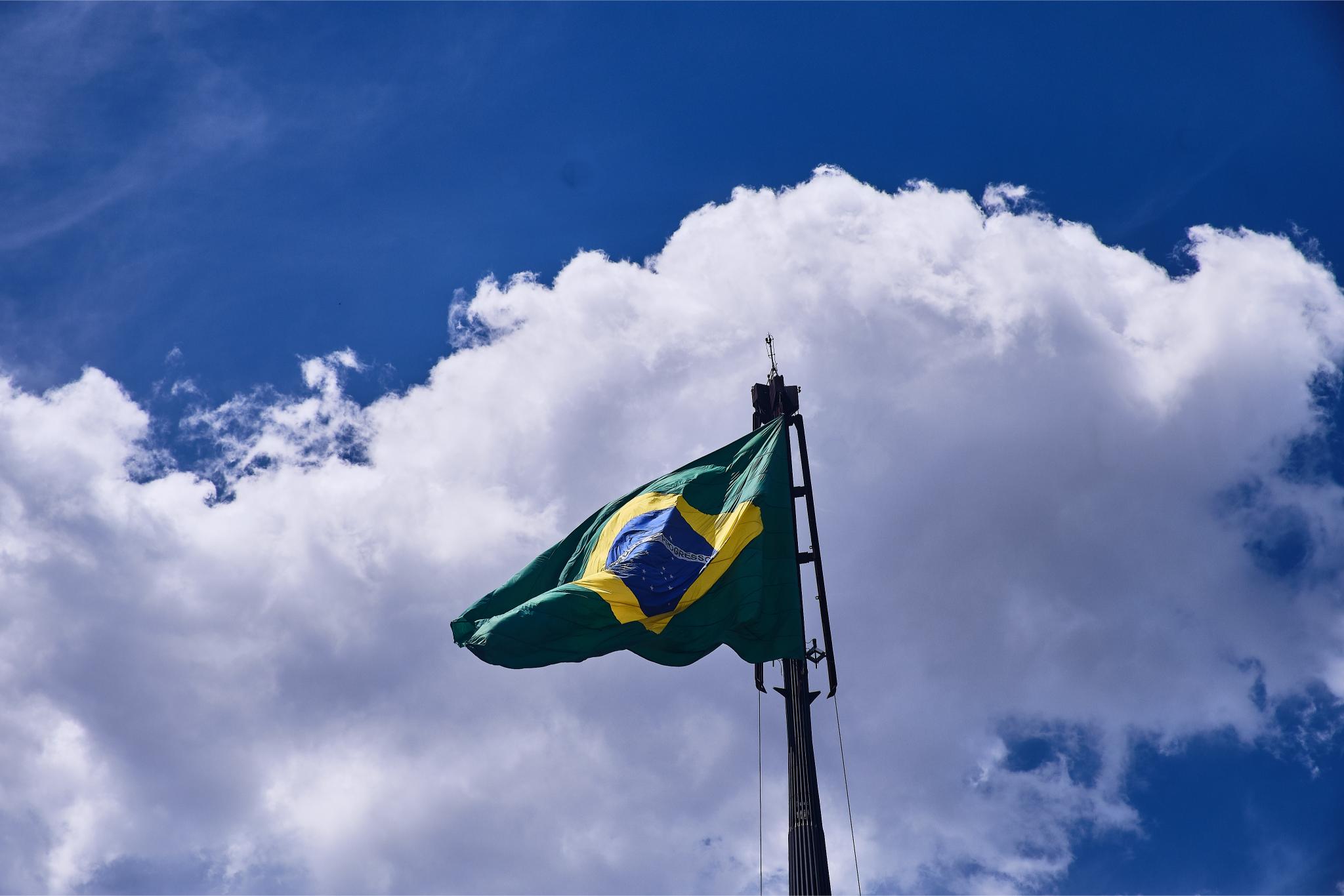 Freepik | Reprodução