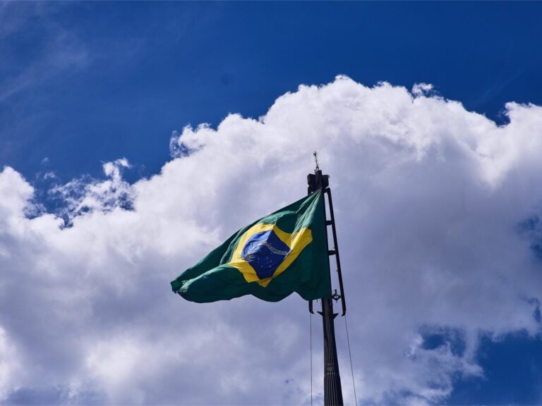 Freepik | Reprodução